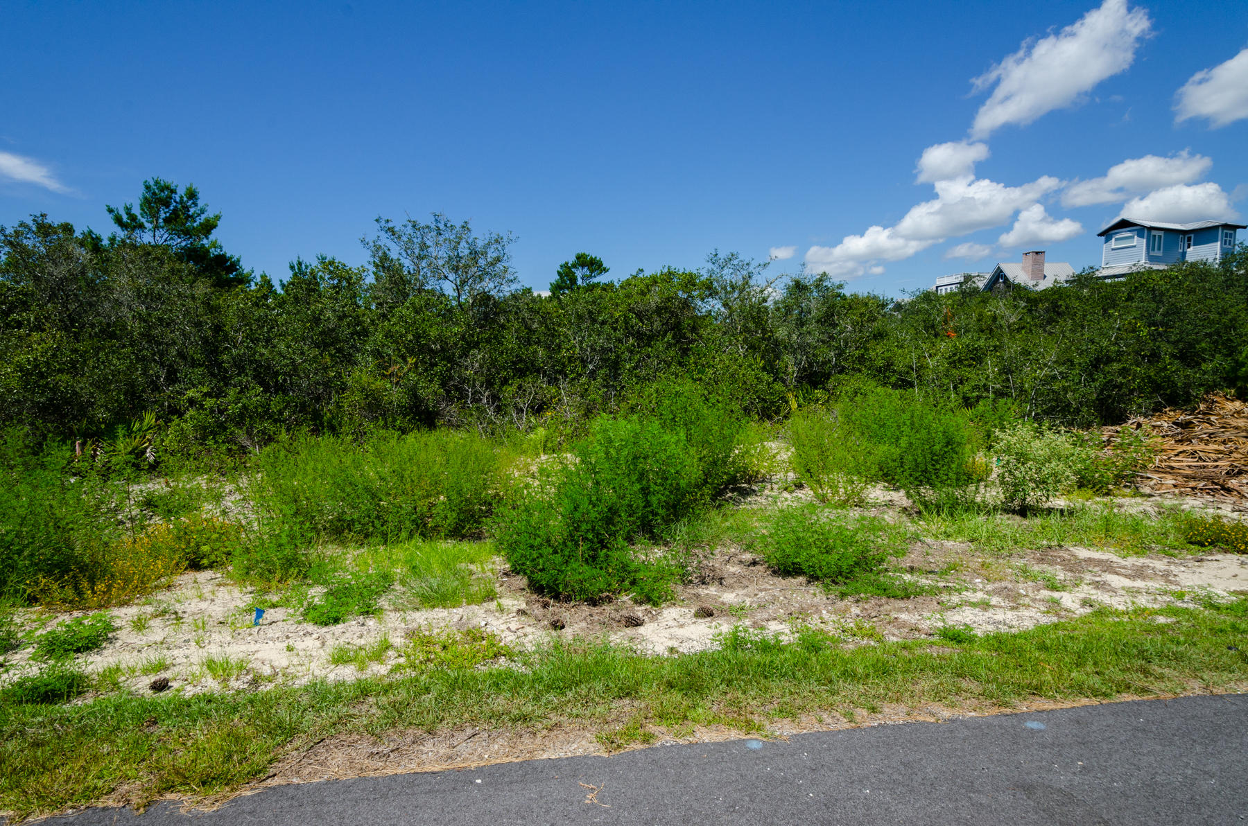 Lot 19 Brenda Ln Inlet Beach Inlet Beach, FL 32461 - Photo 10 of 11 a view of a bunch of trees and bushes