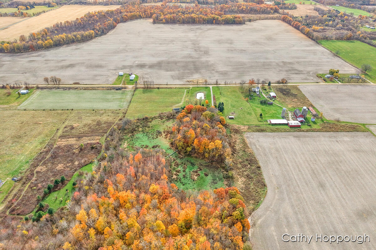 3494 Bradford Road Ionia, MI 48846 - Photo 41 of 48
