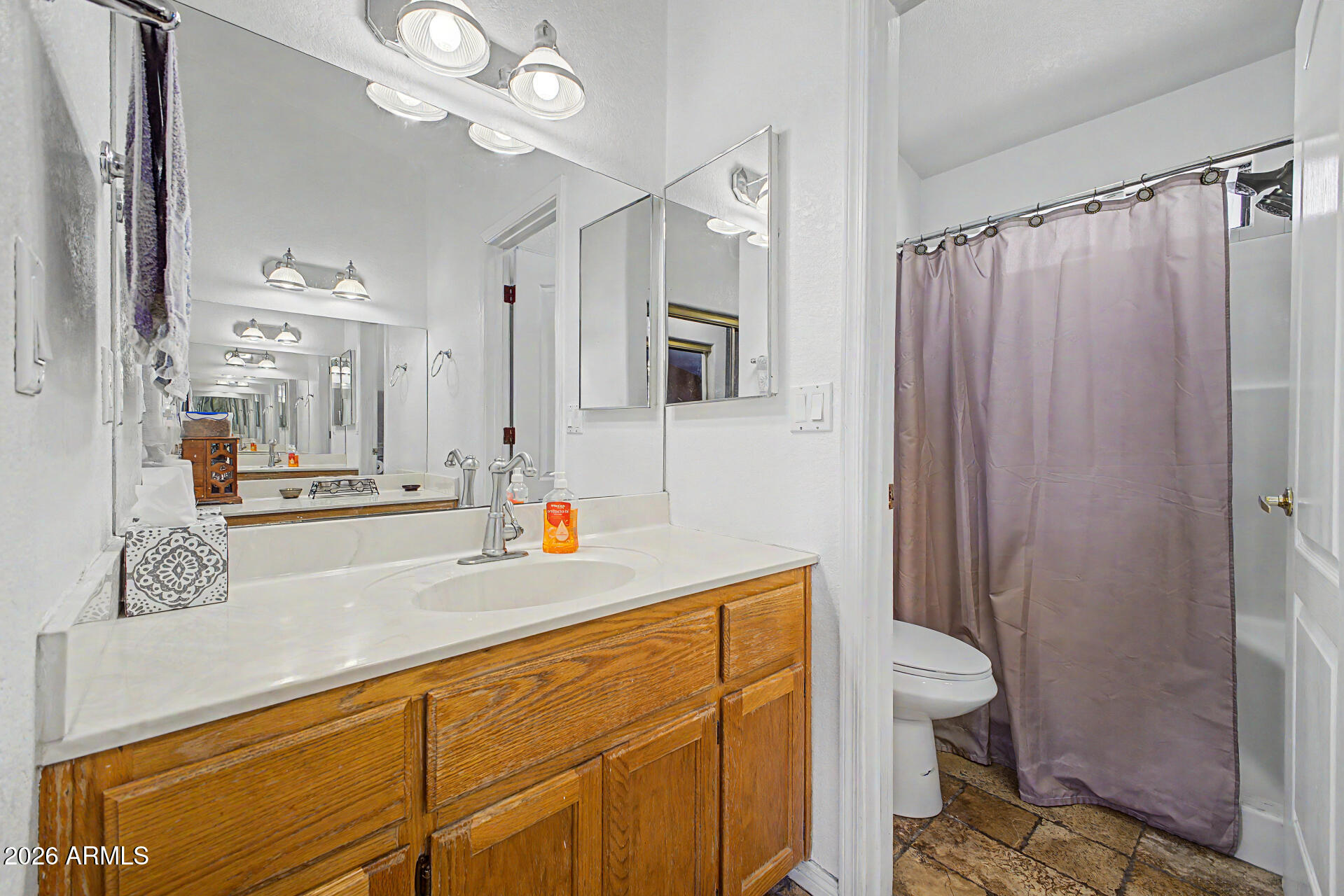 660 South Stardust Lane Apache Junction, AZ 85120 - Photo 9 of 15 a bathroom with a sink a toilet a mirror and shower