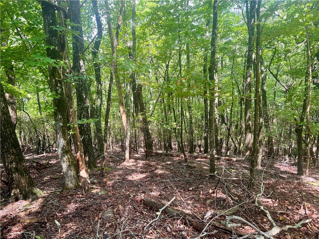 750 Tee Court Jasper, GA 30143 - Photo 2 of 22