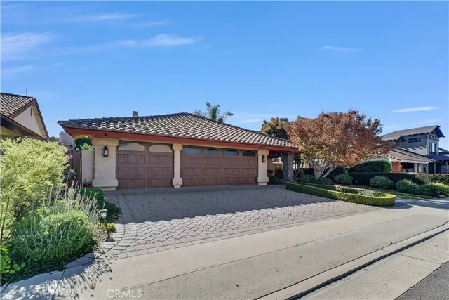 a view of a yard with plants and a large tree