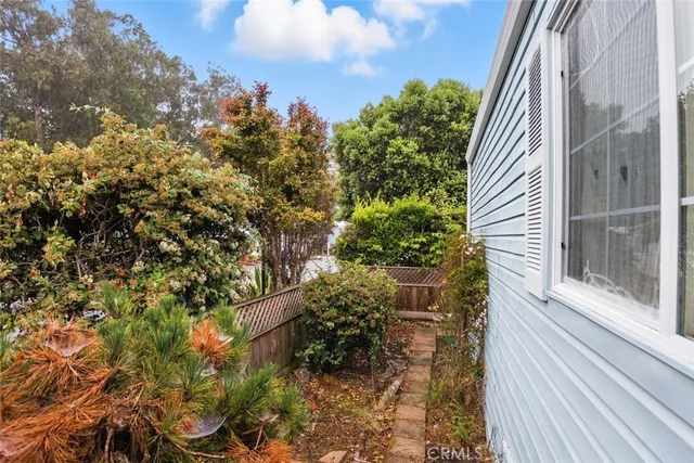 a view of a backyard