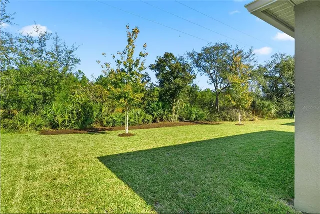 a backyard of a building with large trees