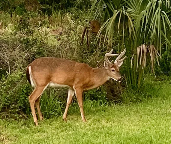 a view of a hallway with closet and wooden floor