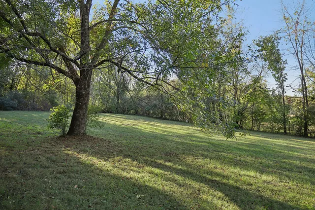 a view of a field with trees