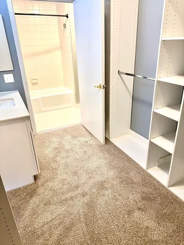a view of bathroom with tub and window