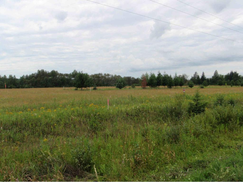 23 Sebeka Mn 56477 Sebeka, MN 56477 - Photo 1 of 1 Gallery Image 1