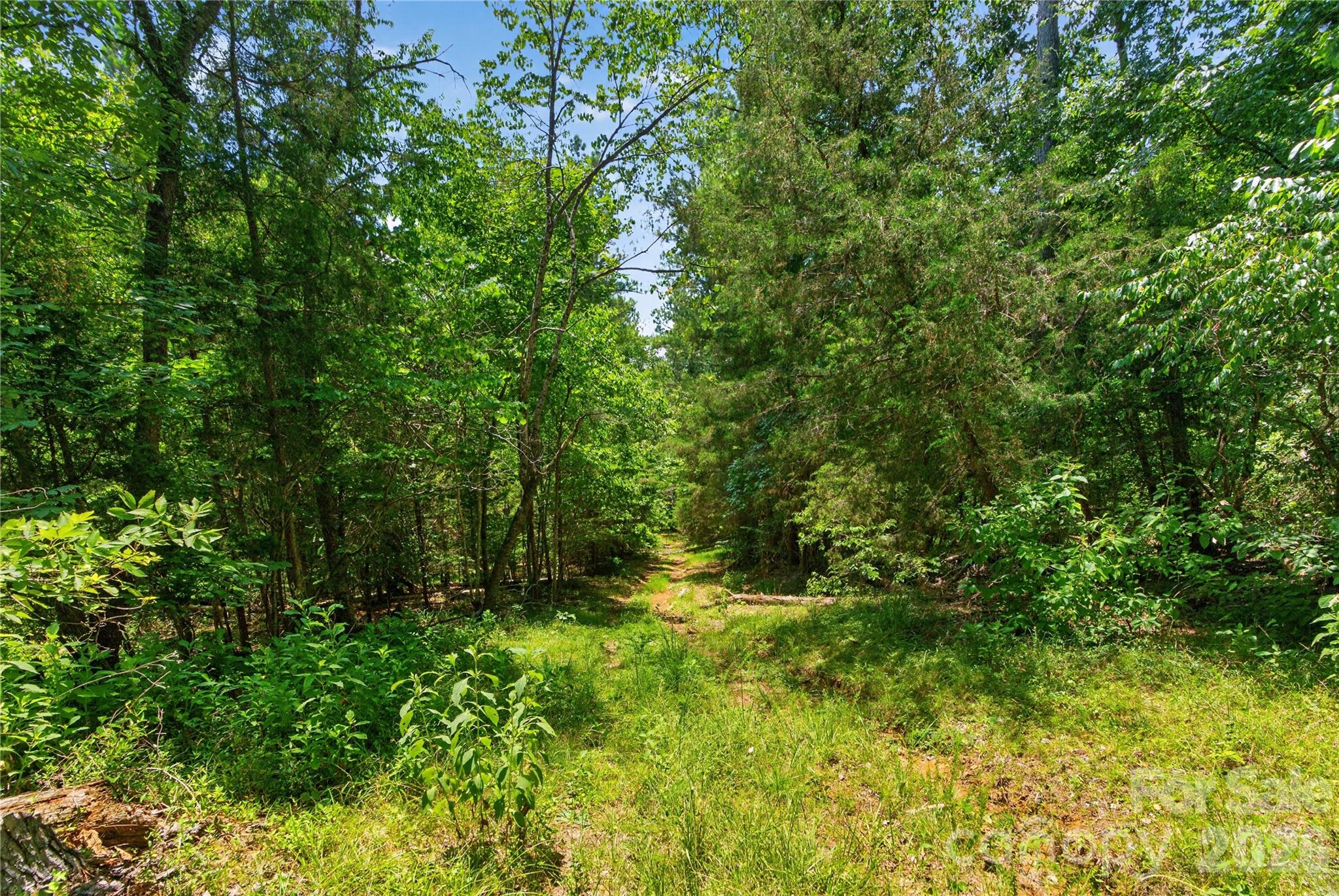 0 Blanton Road, Unit 2 Sharon, SC 29742 - Photo 22 of 43