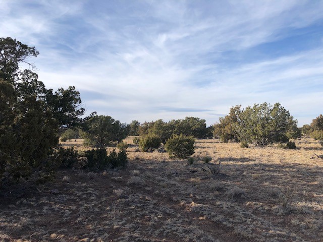 11 Anza Road Corona, NM 88318 - Photo 3 of 19