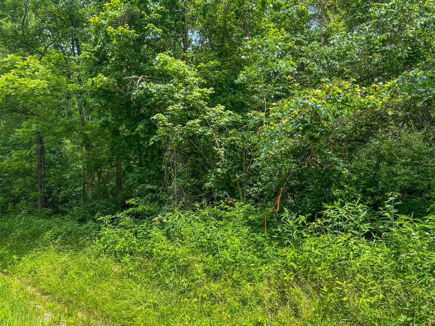 0 Rush Run Road Rayland, OH 43943 - Photo 23 of 24