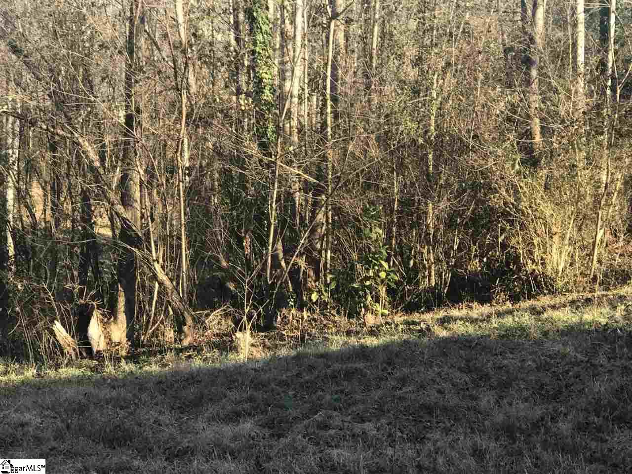 891 Bracken Road Piedmont, SC 29673 - Photo 25 of 36 Gallery Image 25