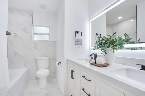 a bathroom with a potted plant on the counter and a toilet