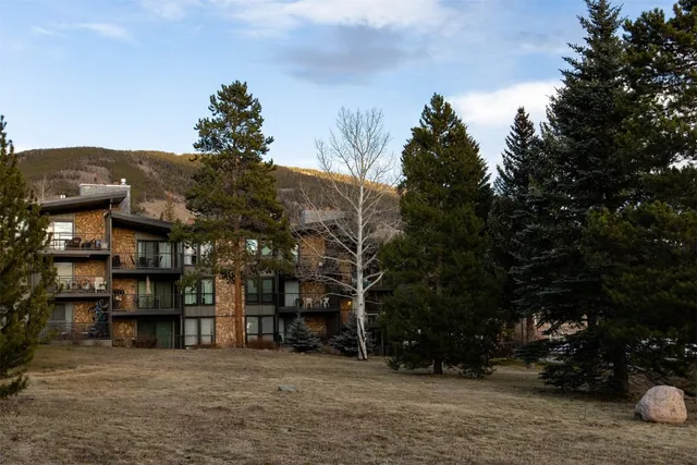$1,023,000 | 176 La Bonte Street, Unit 306, Dillon, CO 80435