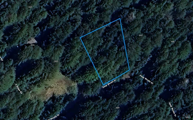 a view of a green field with clear sky