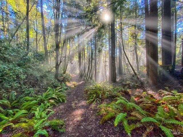 a view of a roof deck