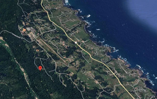 a close up of a tree