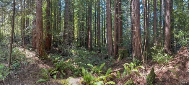 a view of a backyard of the house