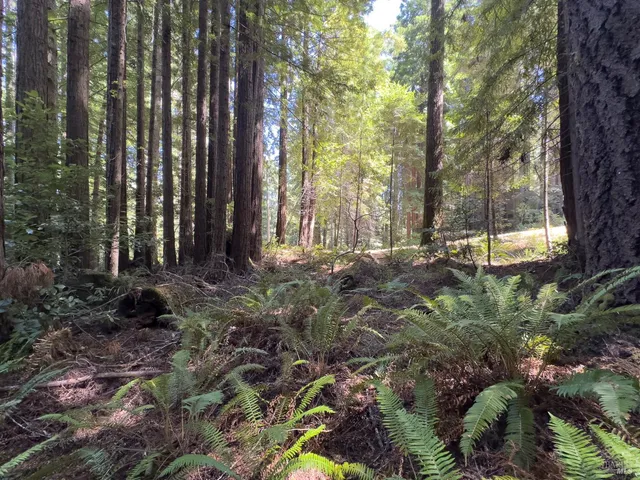 a backyard of a building