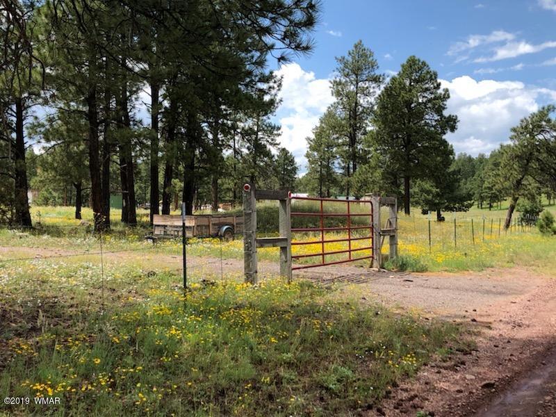 235 Co Road Alpine, AZ 85920 - Photo 12 of 45