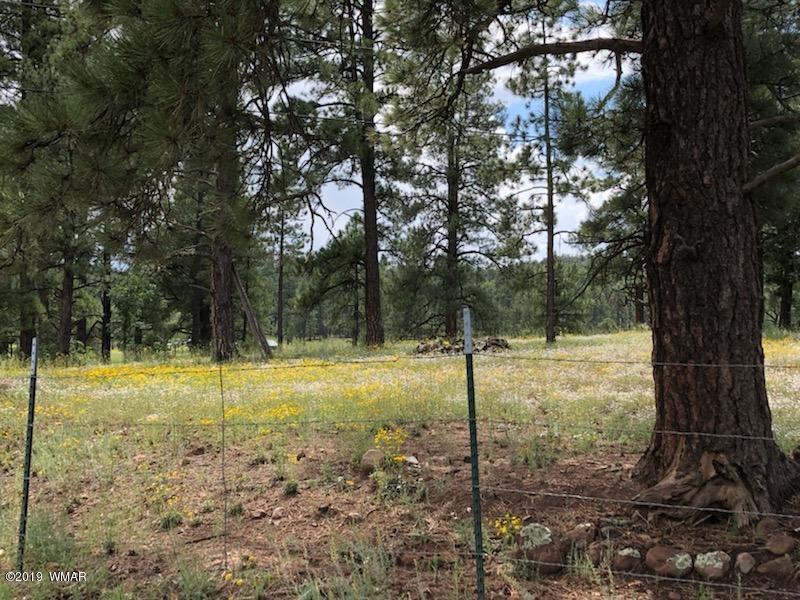 235 Co Road Alpine, AZ 85920 - Photo 13 of 45