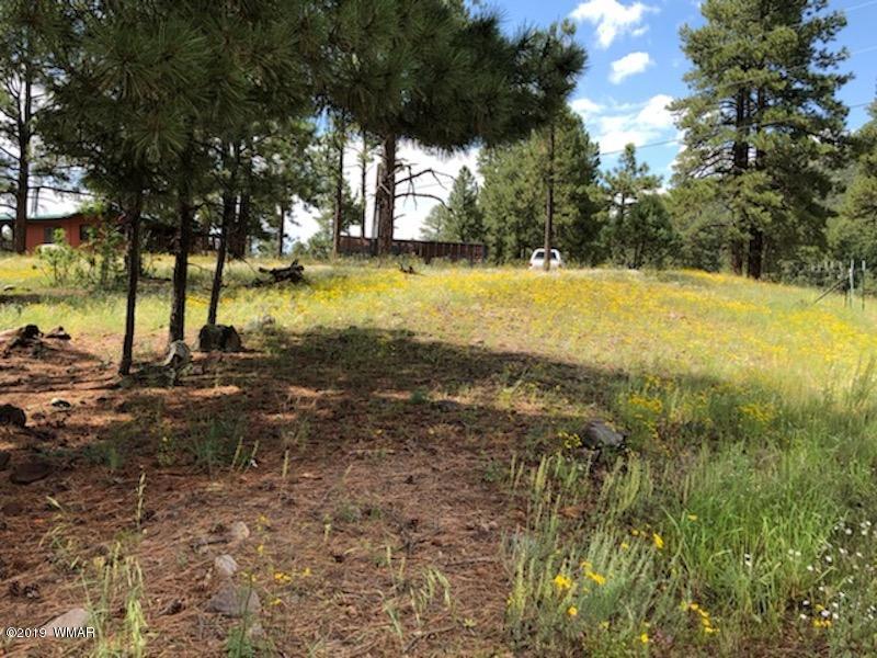 235 Co Road Alpine, AZ 85920 - Photo 14 of 45