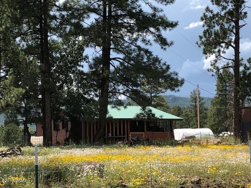 235 Co Road Alpine, AZ 85920 - Photo 15 of 45