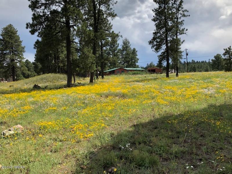 235 Co Road Alpine, AZ 85920 - Photo 16 of 45