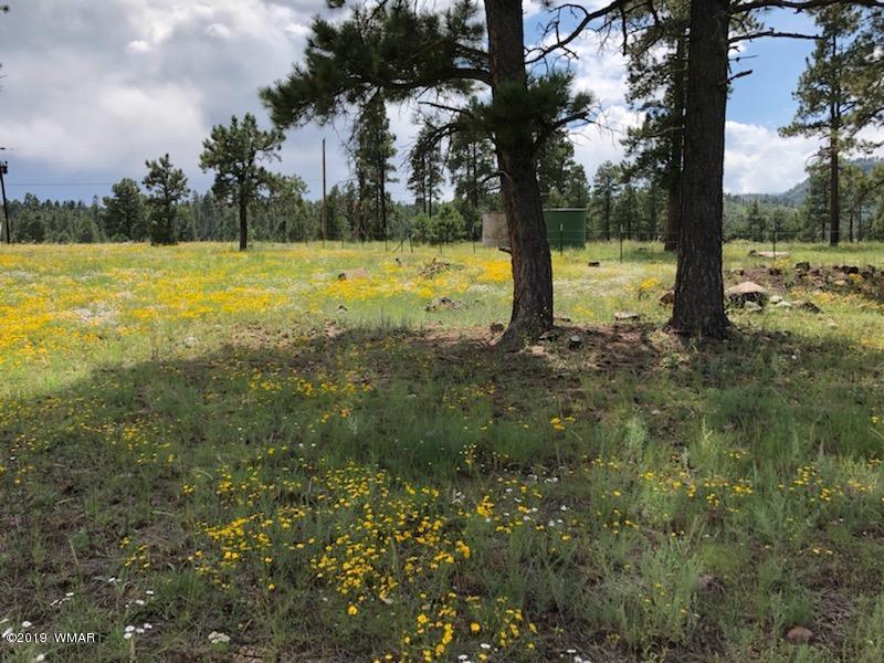 235 Co Road Alpine, AZ 85920 - Photo 17 of 45