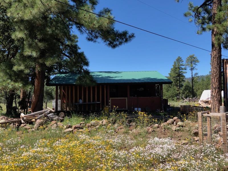 235 Co Road Alpine, AZ 85920 - Photo 18 of 45