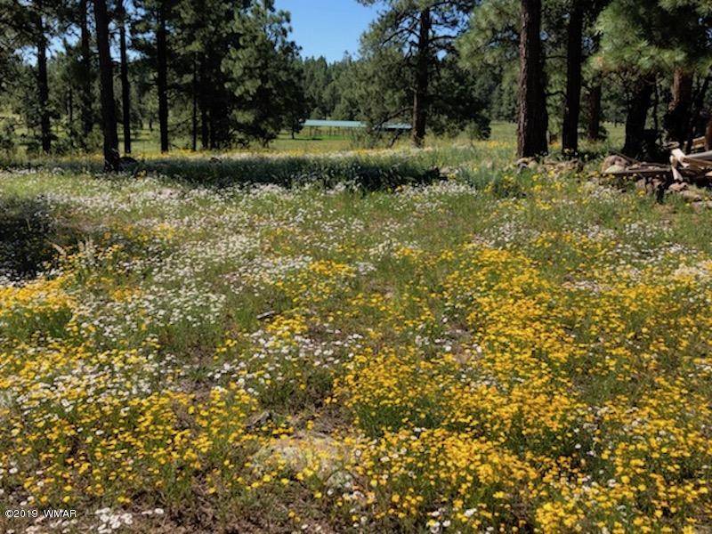 235 Co Road Alpine, AZ 85920 - Photo 19 of 45