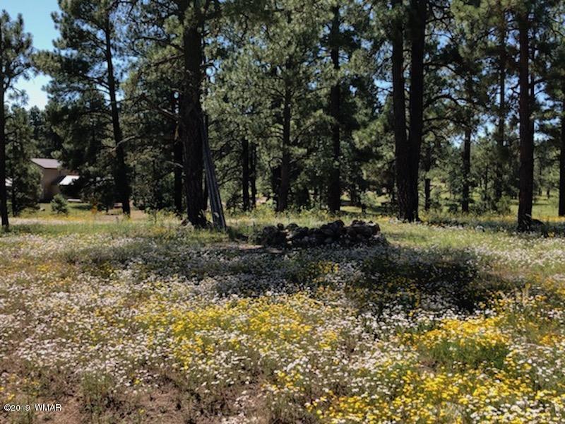 235 Co Road Alpine, AZ 85920 - Photo 20 of 45