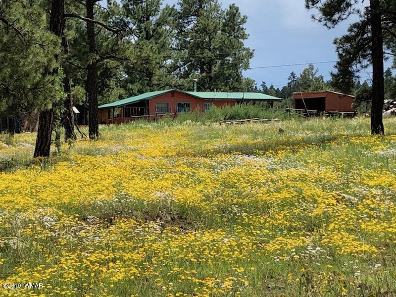235 Co Road Alpine, AZ 85920 - Photo 2 of 45