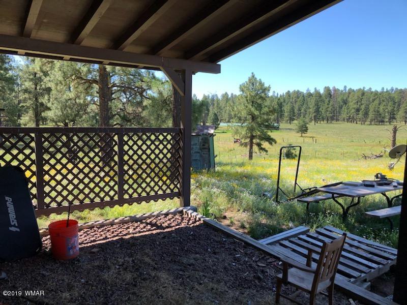 235 Co Road Alpine, AZ 85920 - Photo 21 of 45