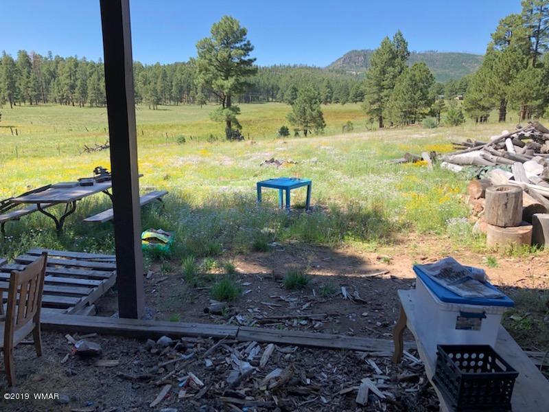 235 Co Road Alpine, AZ 85920 - Photo 22 of 45