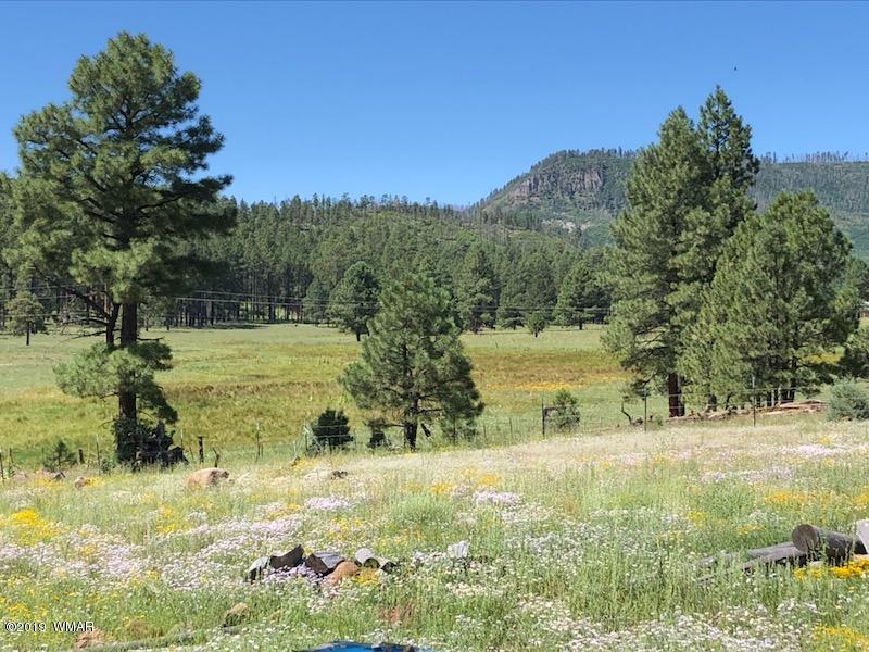 235 Co Road Alpine, AZ 85920 - Photo 24 of 45