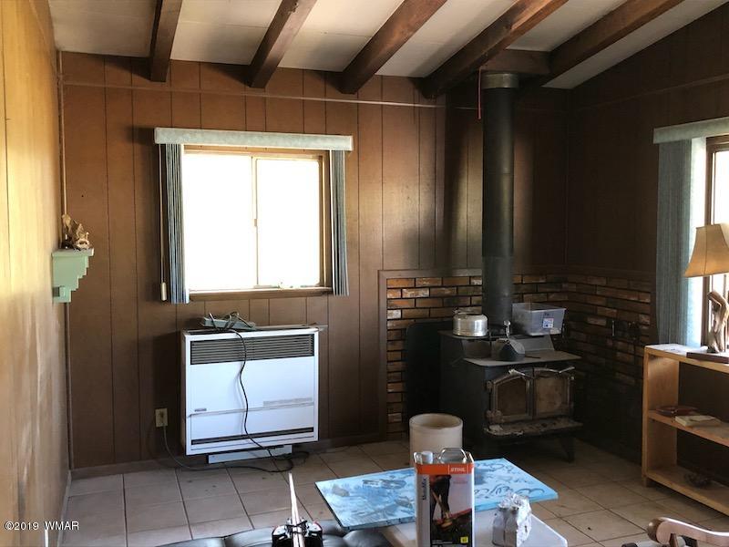 235 Co Road Alpine, AZ 85920 - Photo 29 of 45