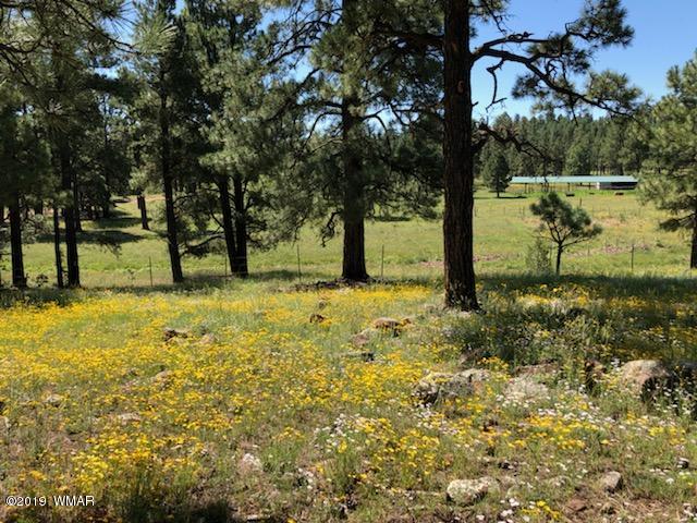 235 Co Road Alpine, AZ 85920 - Photo 40 of 45