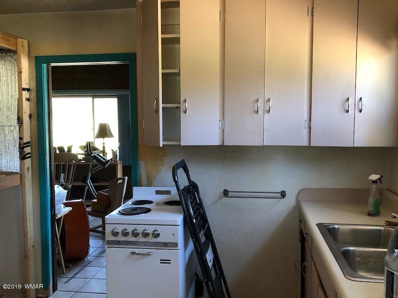 235 Co Road Alpine, AZ 85920 - Photo 4 of 45