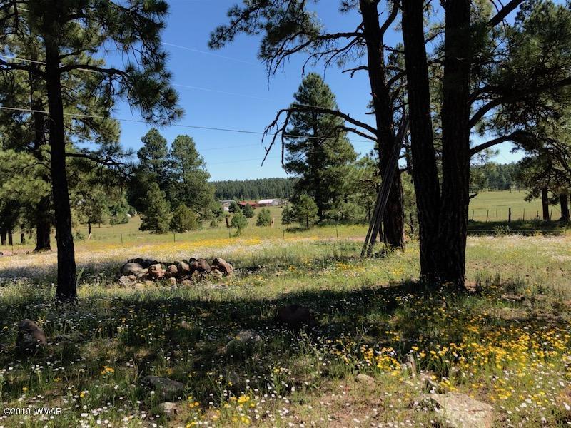 235 Co Road Alpine, AZ 85920 - Photo 42 of 45
