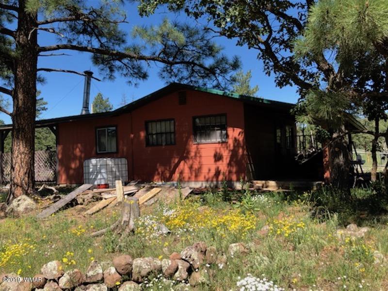235 Co Road Alpine, AZ 85920 - Photo 44 of 45