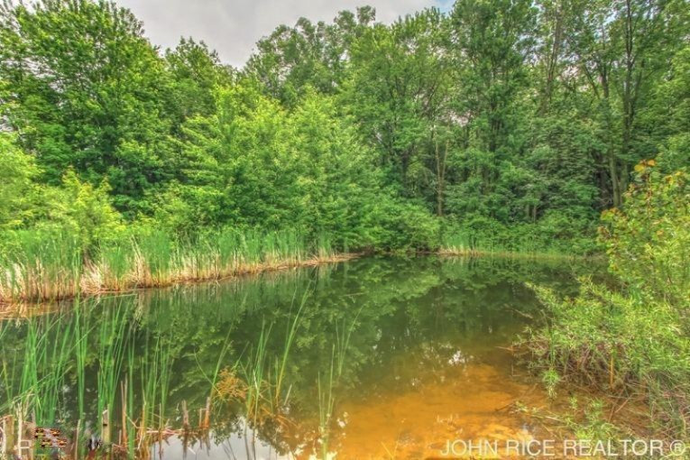 9389 Tasker Road Lake Odessa, MI 48849 - Photo 6 of 24 Additional Photo