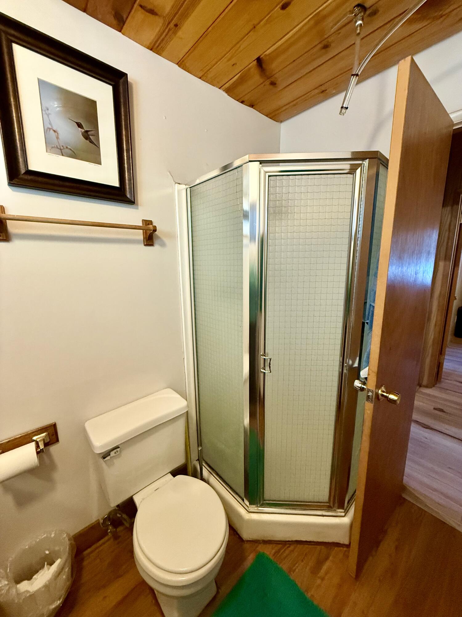 57603 Crest Drive Springville, CA 93265 - Photo 14 of 44 Downstairs Bath