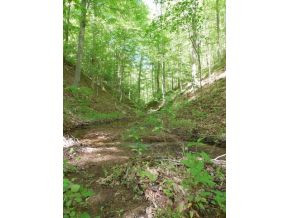 0 Turner Ridge Road Newport, TN 37821 - Photo 1 of 18 Photo 1