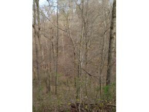 0 Turner Ridge Road Newport, TN 37821 - Photo 16 of 18 Photo 16