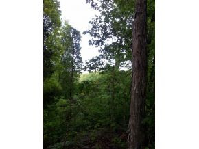 0 Turner Ridge Road Newport, TN 37821 - Photo 3 of 18 Photo 3