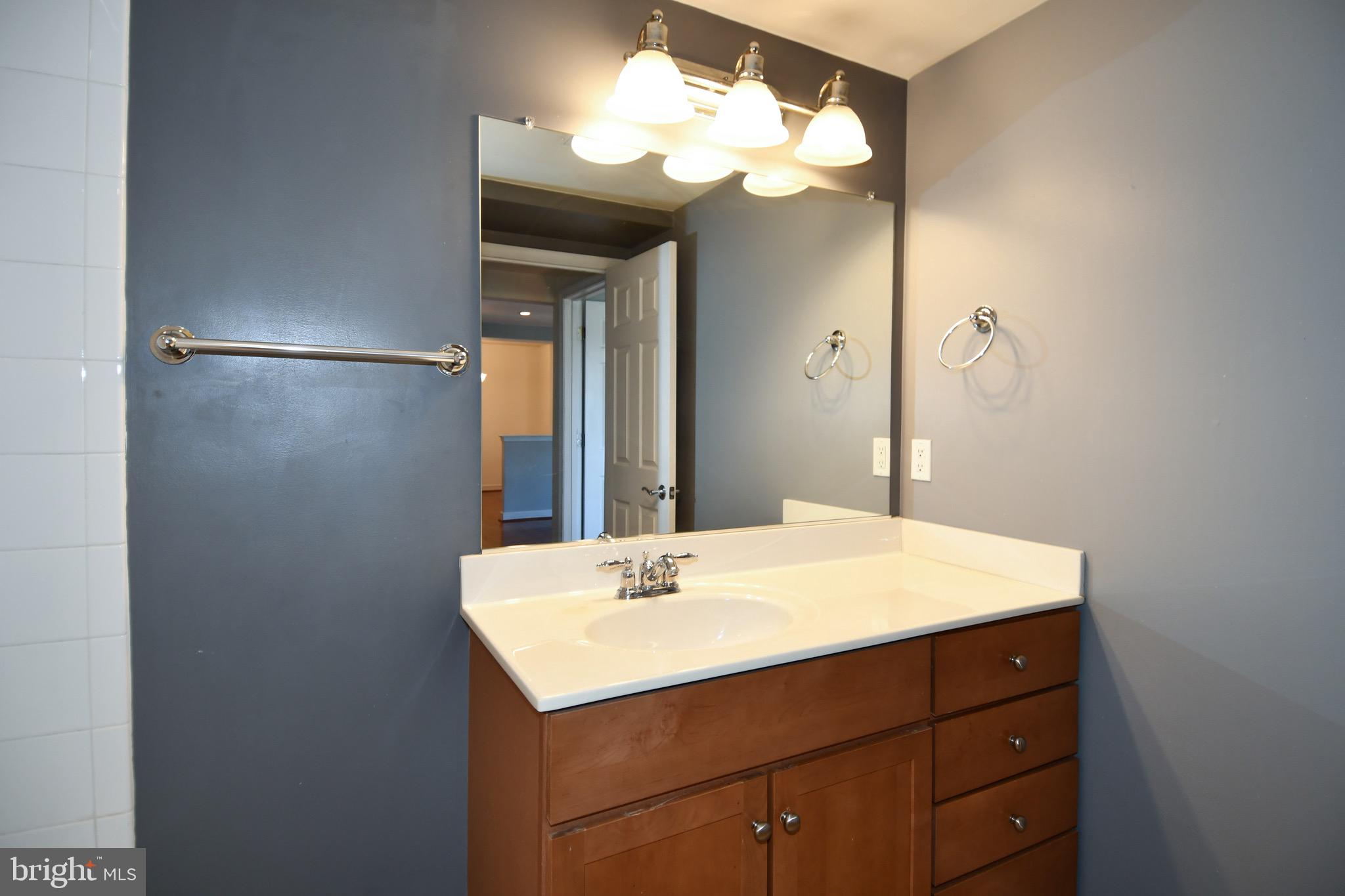 4127 South Four Mile Run Drive, Unit 304 Arlington, VA 22204 - Photo 28 of 44 a bathroom with a sink vanity and a mirror