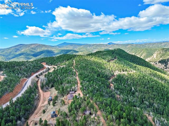 616 Timber Ridge Road Divide, CO 80814 - Photo 29 of 34 Drone / aerial view with a mountain view and a forest view