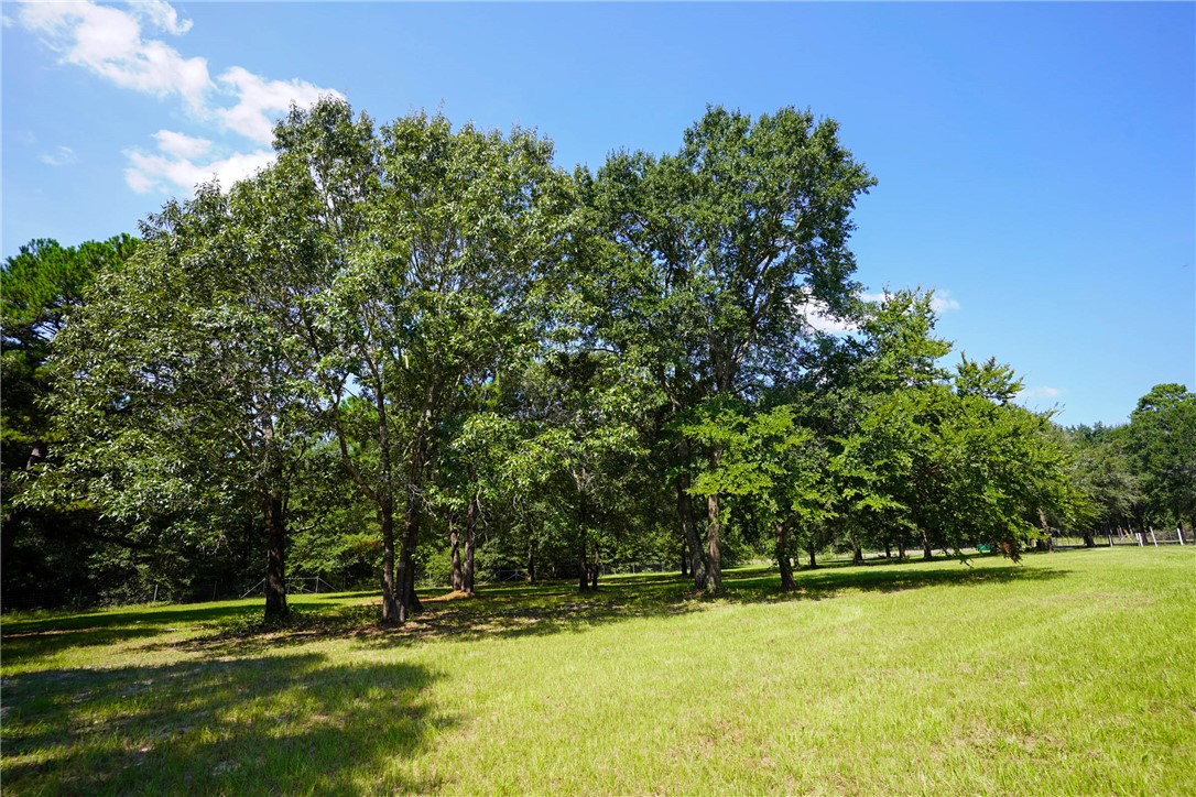 2092 Farm To Market 1486 Anderson, TX 77830 - Photo 29 of 42 a view of swimming pool with a yard