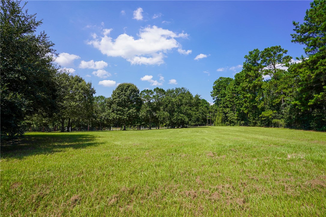 2092 Farm To Market 1486 Anderson, TX 77830 - Photo 30 of 42 a view of outdoor space and yard