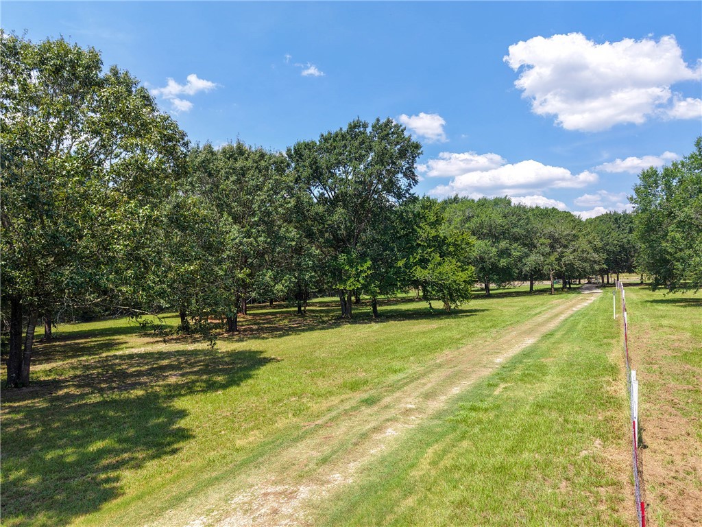2092 Farm To Market 1486 Anderson, TX 77830 - Photo 34 of 42 a view of a swimming pool with a yard